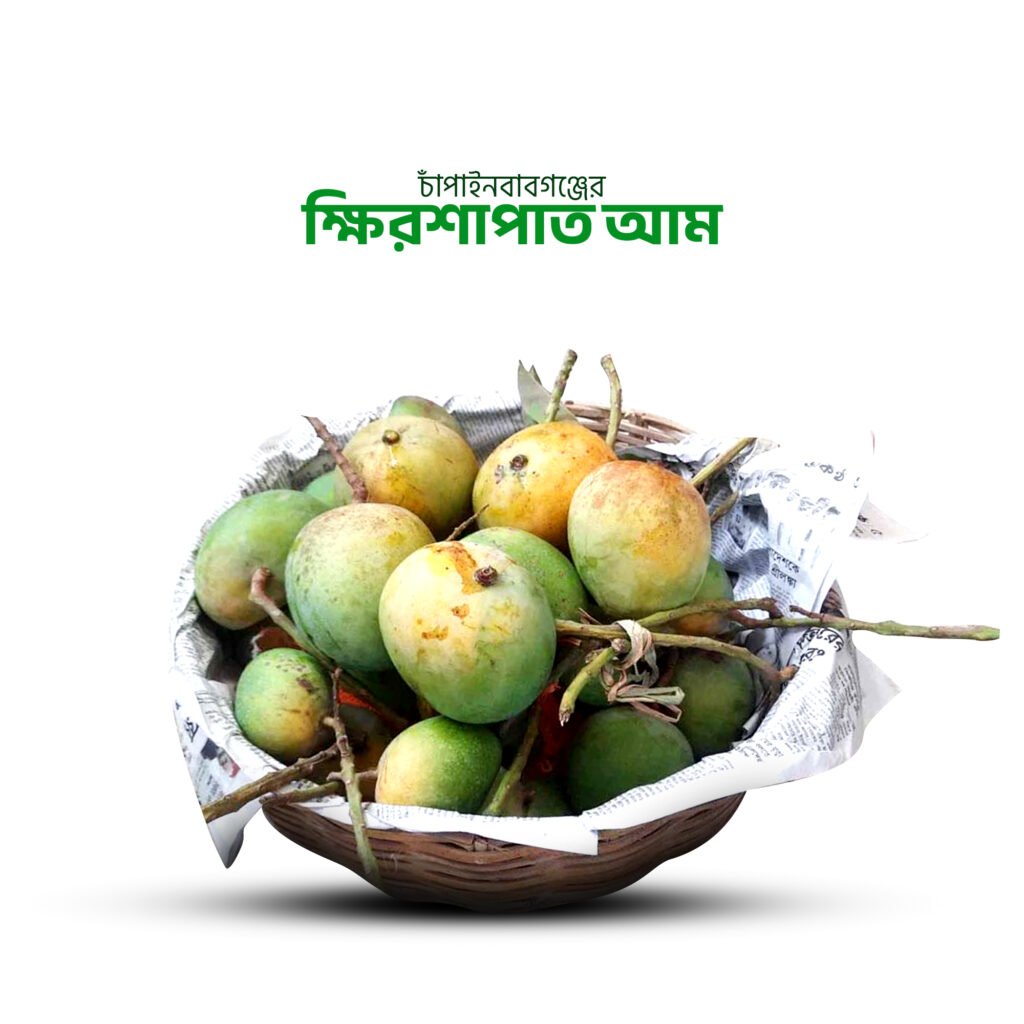 ক্ষিরশাপাত আম (Khirsapat mango)
