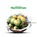 ক্ষিরশাপাত আম (Khirsapat mango)