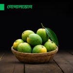 গোপালভোগ আম (Gopalbhog Mango)