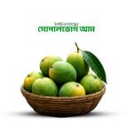 গোপালভোগ আম (Gopalbhog Mango)