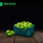 হিমসাগর আম (Himsagor Mango)